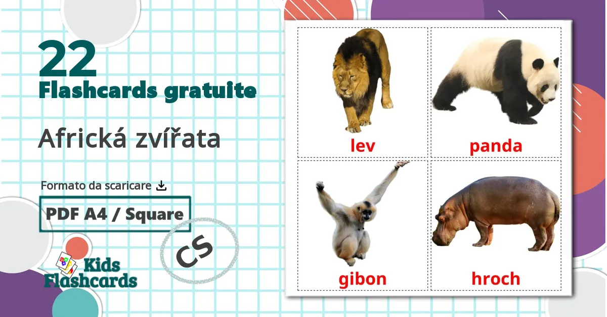 22 flashcards di Africká zvířata