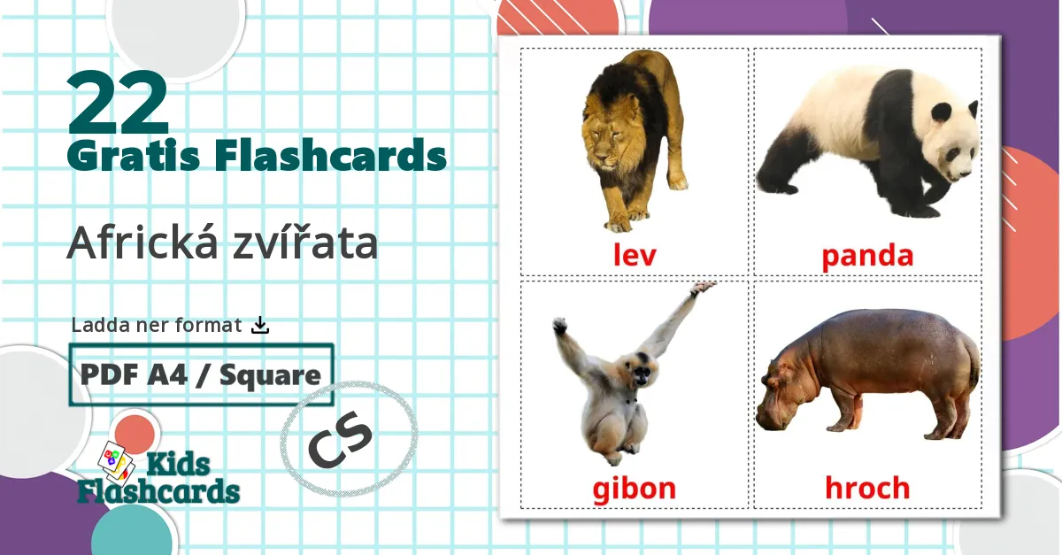 22 Africká zvířata bildkort för barn