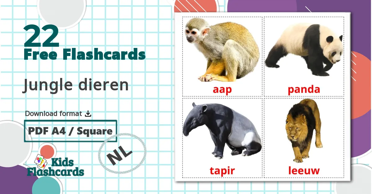 22 Jungle dieren flashcards