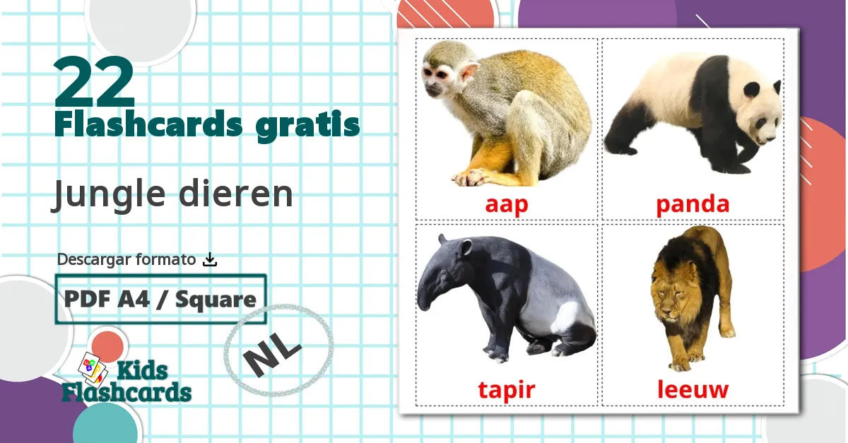 22 tarjetas didacticas de Jungle dieren