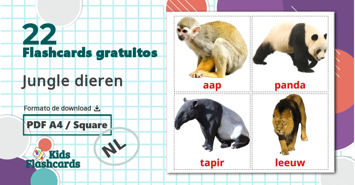 22 Flashcards de Jungle dieren