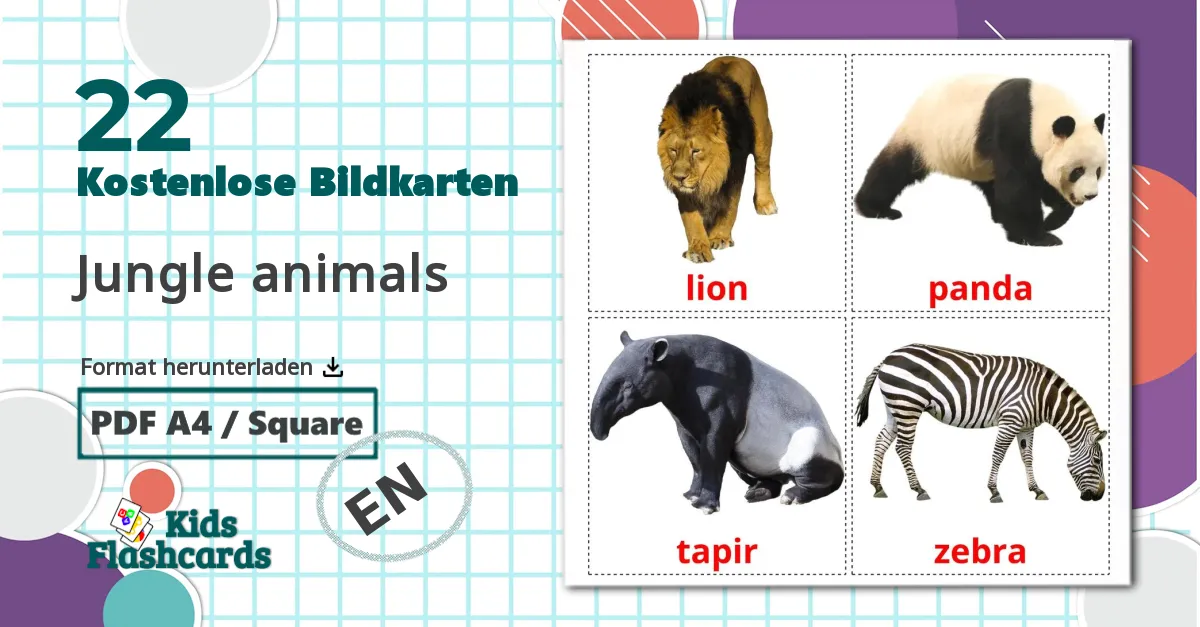 Bildkarten für Dschungel Tiere