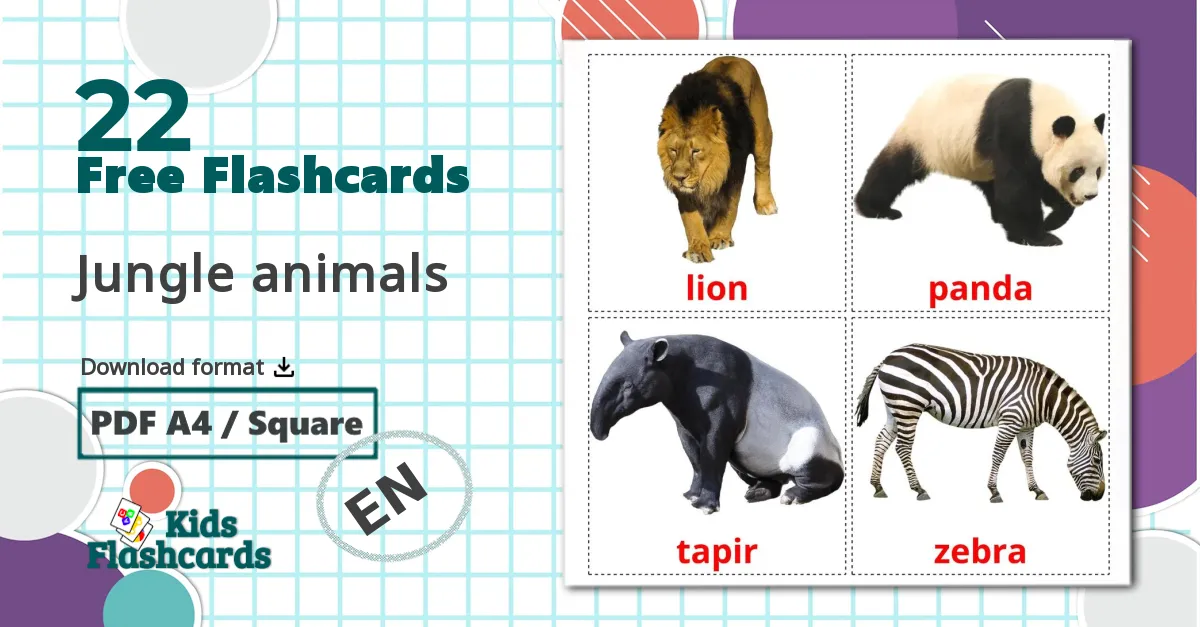 22 Jungle animals flashcards