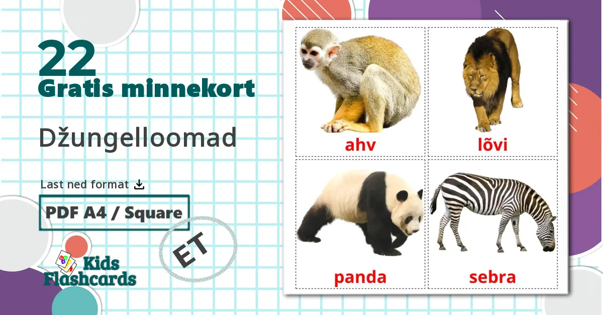 22 Džungelloomad bildekort