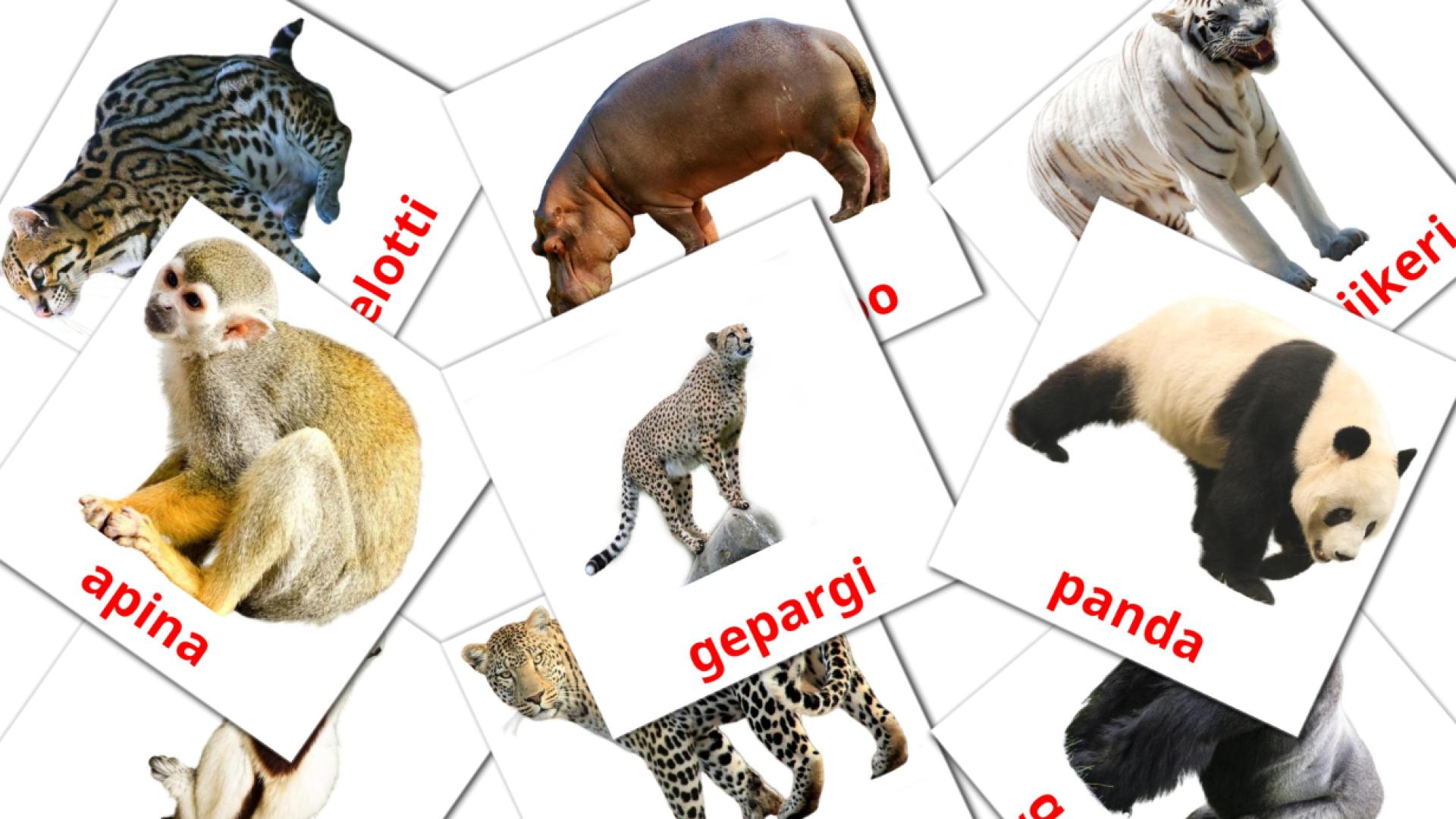 Aafrika eläimet flashcards