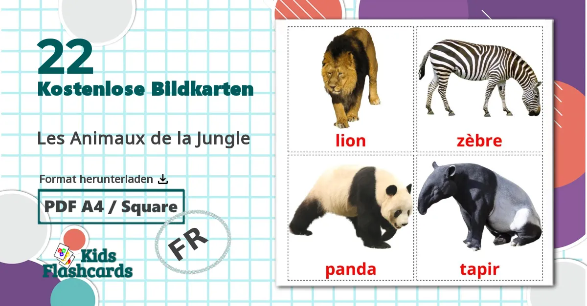 22 Bildkarten für Les Animaux de la Jungle