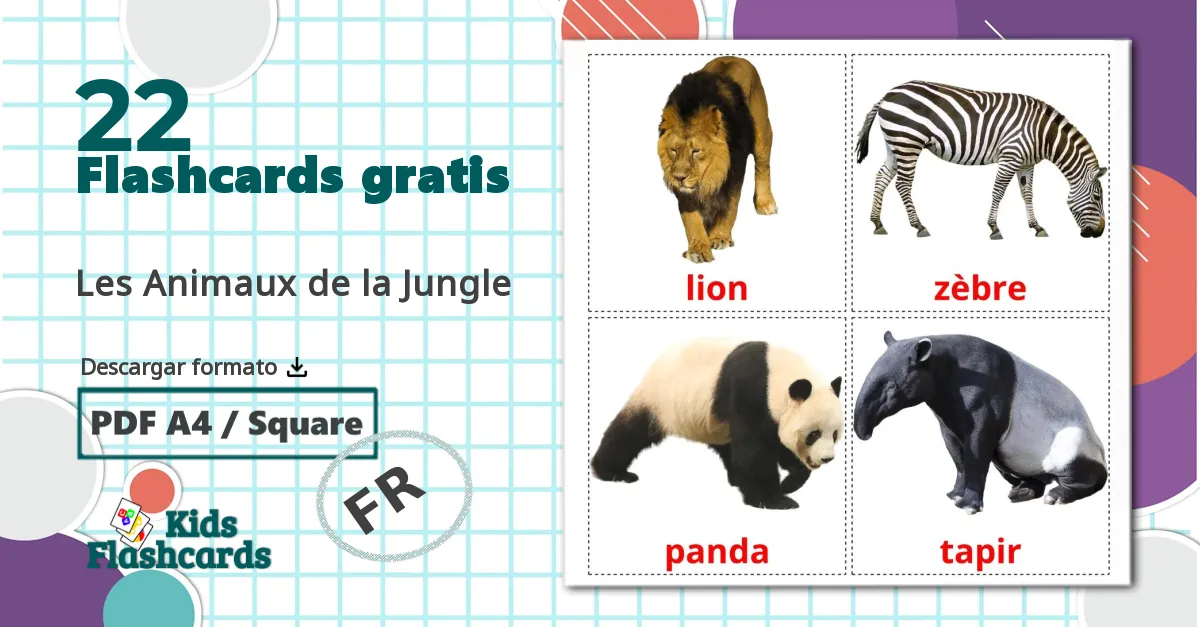 22 tarjetas didacticas de Les Animaux de la Jungle