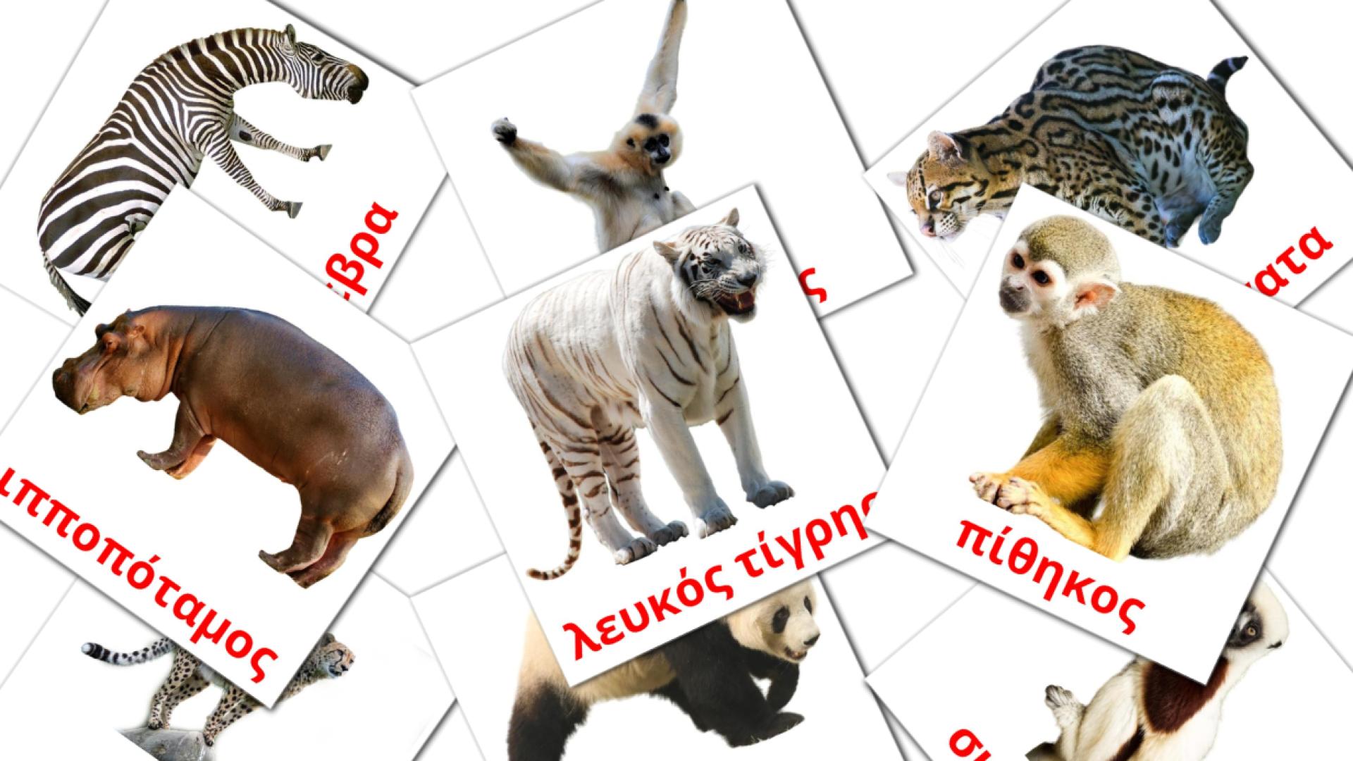 Bildkarten für Ζώα της ζούγκλας