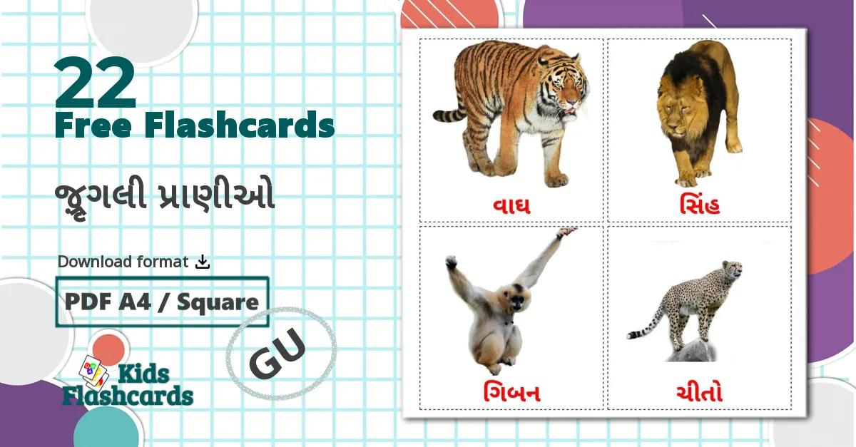 22 જંગલી પ્રાણીઓ flashcards