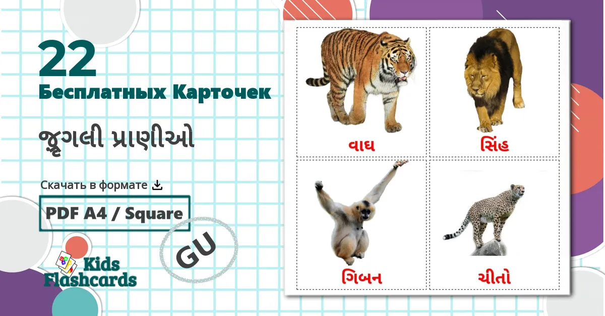 22 Карточки Домана જંગલી પ્રાણીઓ