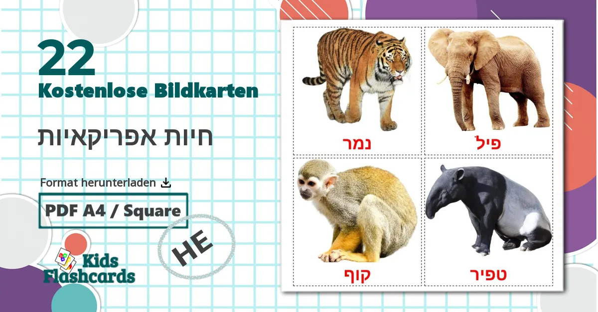 22 Bildkarten für חיות אפריקאיות