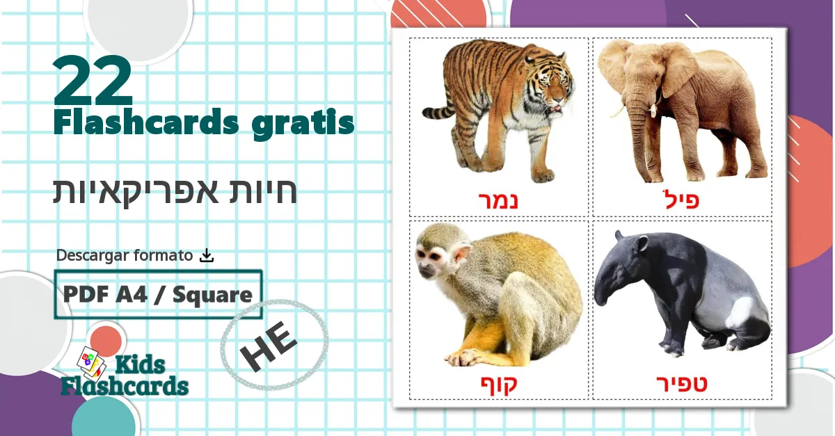 22 tarjetas didacticas de חיות אפריקאיות