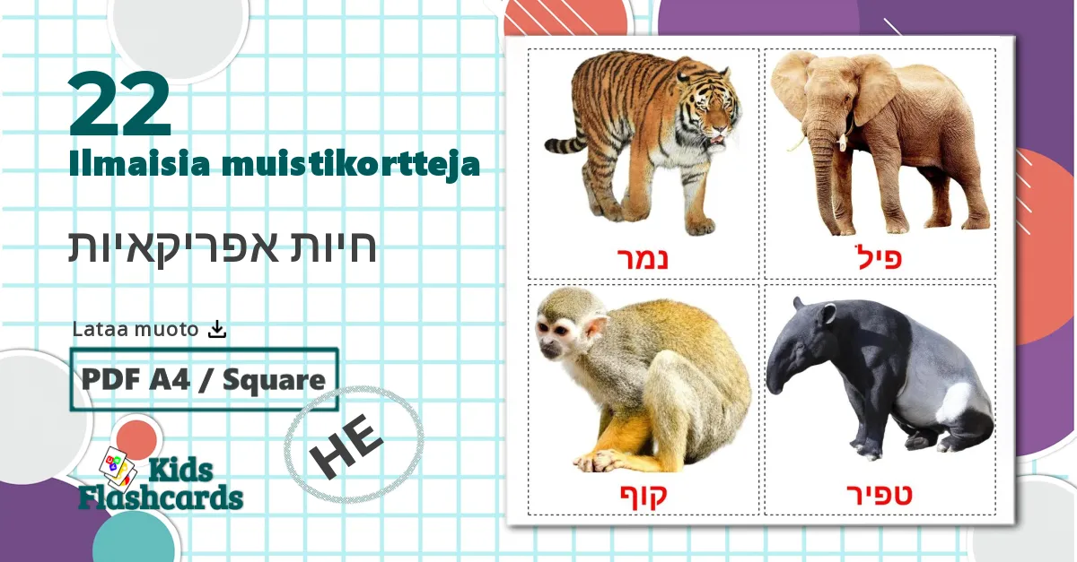 22 חיות אפריקאיות lasten kuvakortit