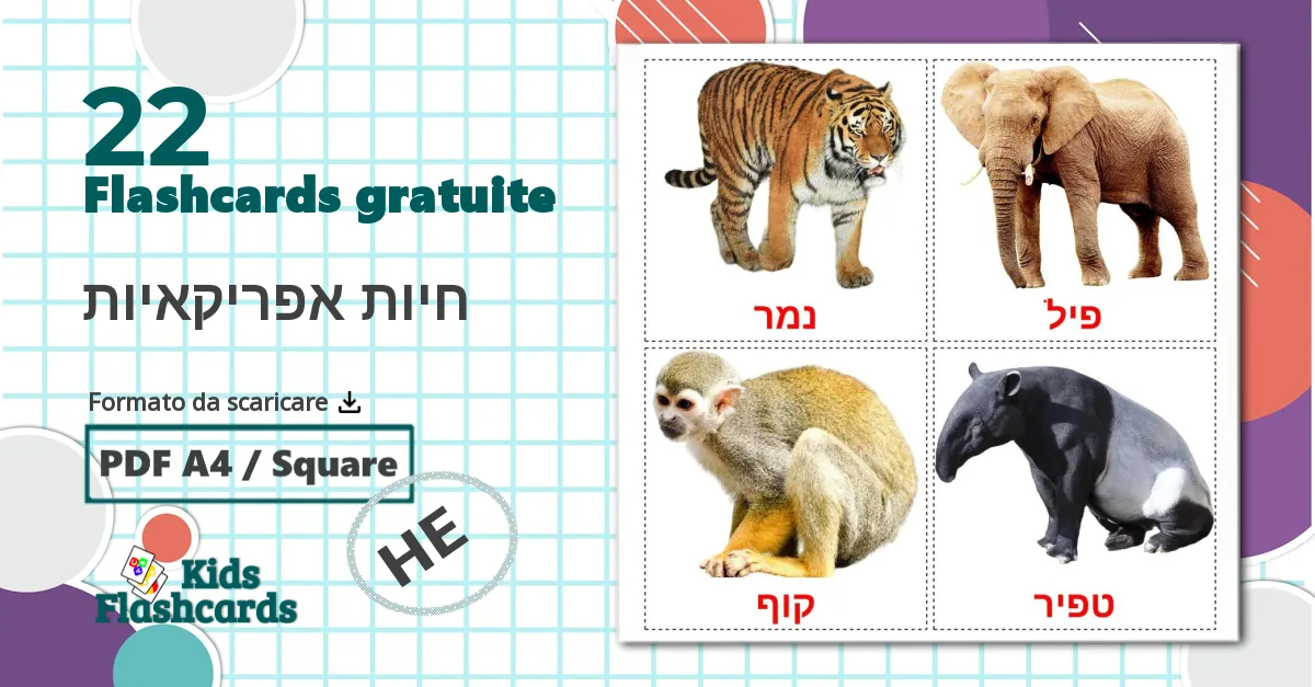 22 flashcards di חיות אפריקאיות