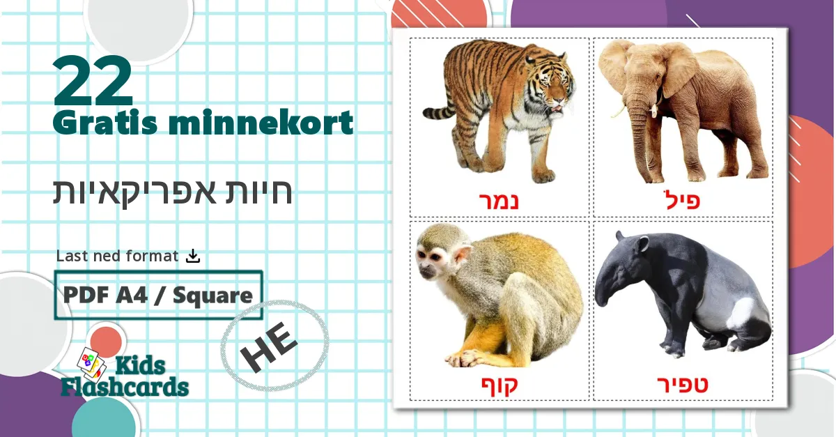 22 חיות אפריקאיות bildekort