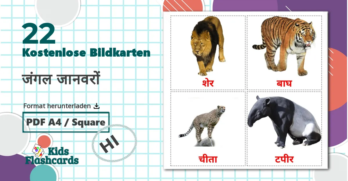 22 Bildkarten für जंगल जानवरों