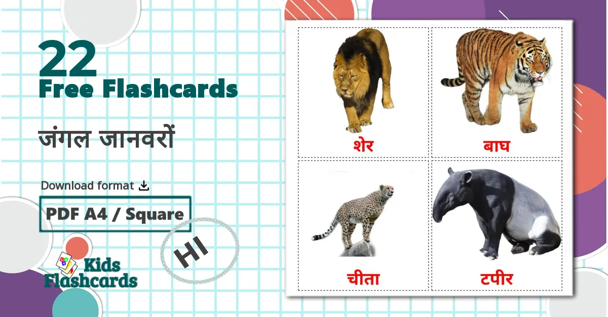 22 जंगल जानवरों flashcards