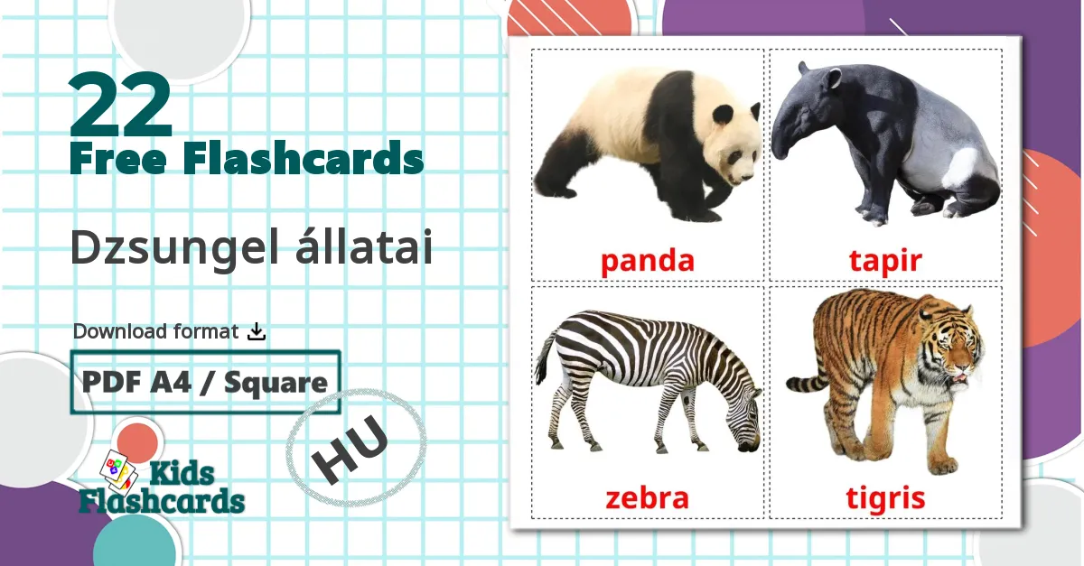 22 Dzsungel állatai flashcards