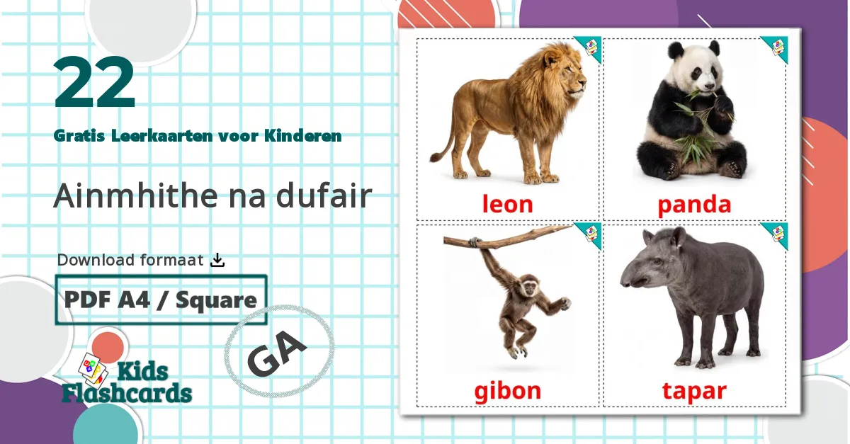 22 Jungle dieren Leerkaarten voor kinderen