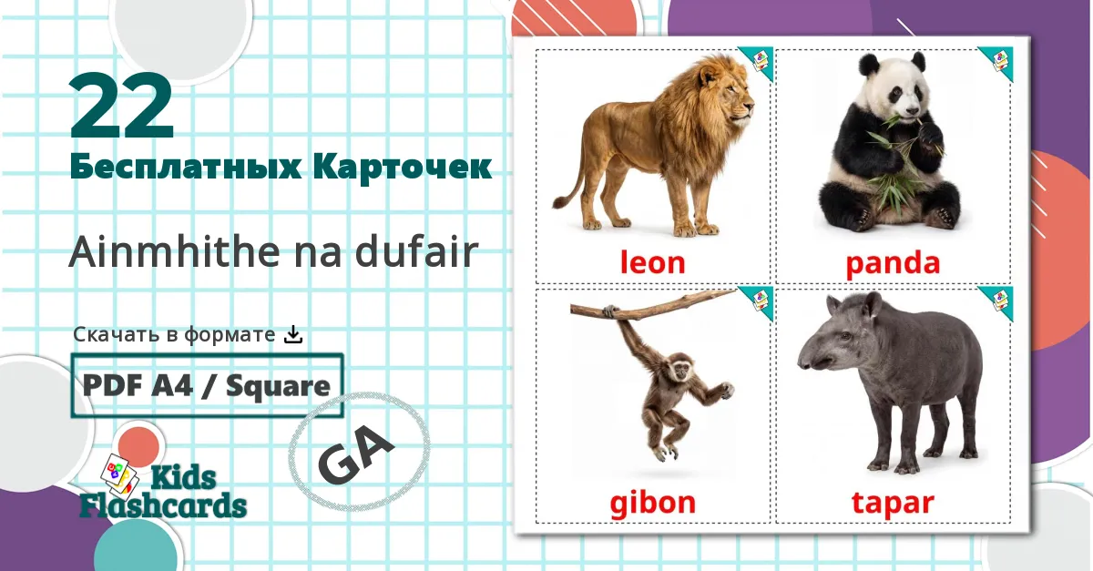 22 Карточки Домана Животные африки