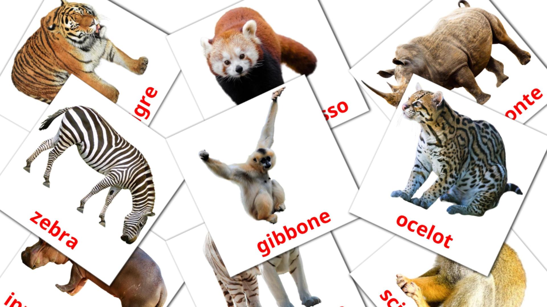 tarjetas didacticas de Animali della giungla