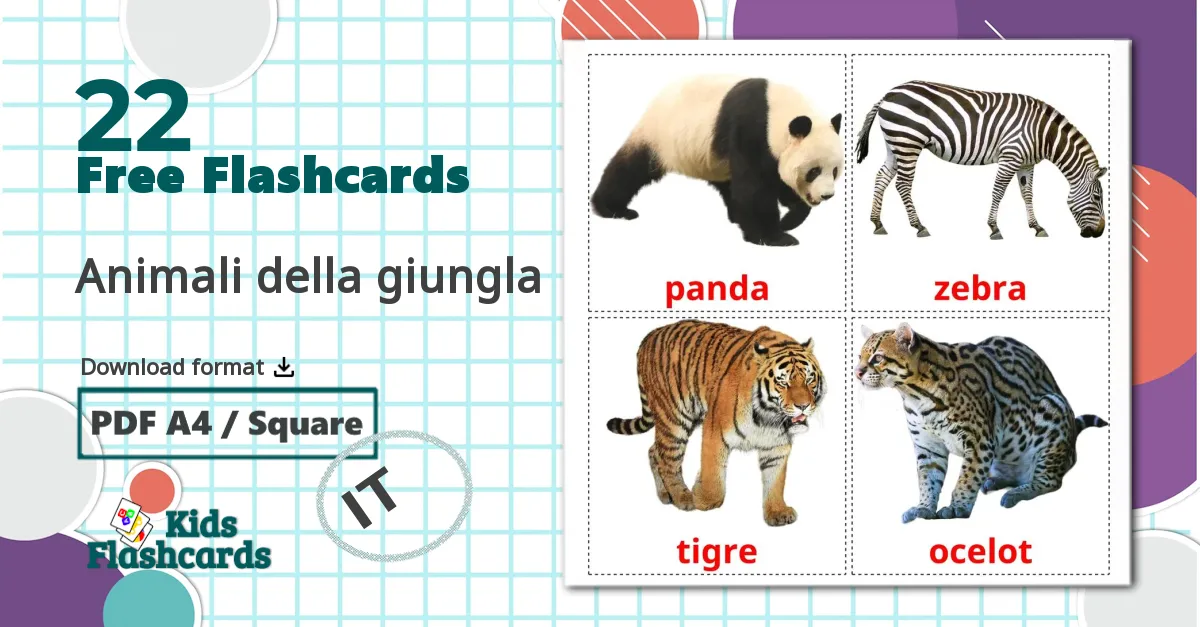 22 Animali della giungla flashcards