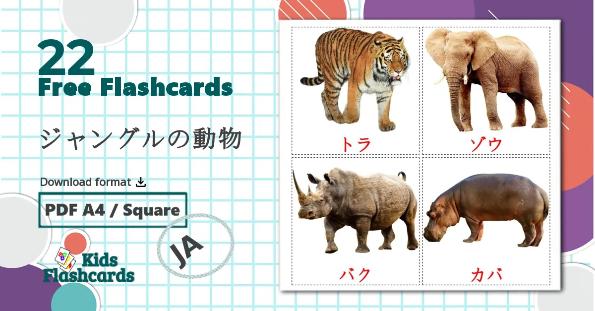 22 ジャングルの動物 flashcards