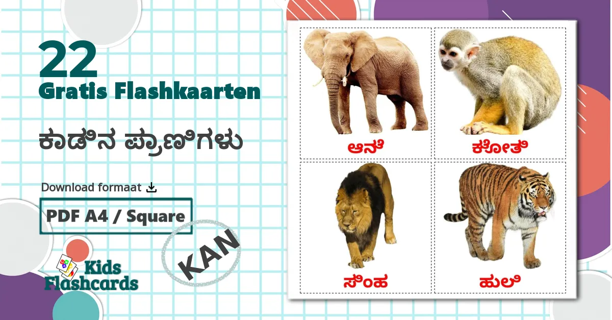 22 ಕಾಡಿನ ಪ್ರಾಣಿಗಳು flashcards