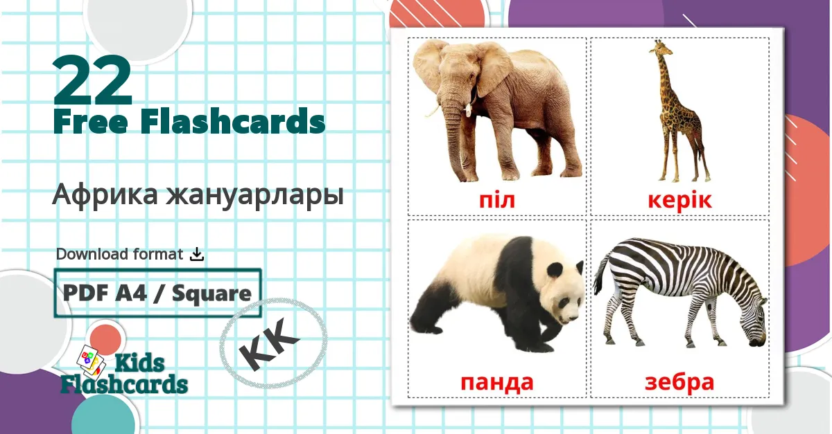 22 Африка жануарлары flashcards