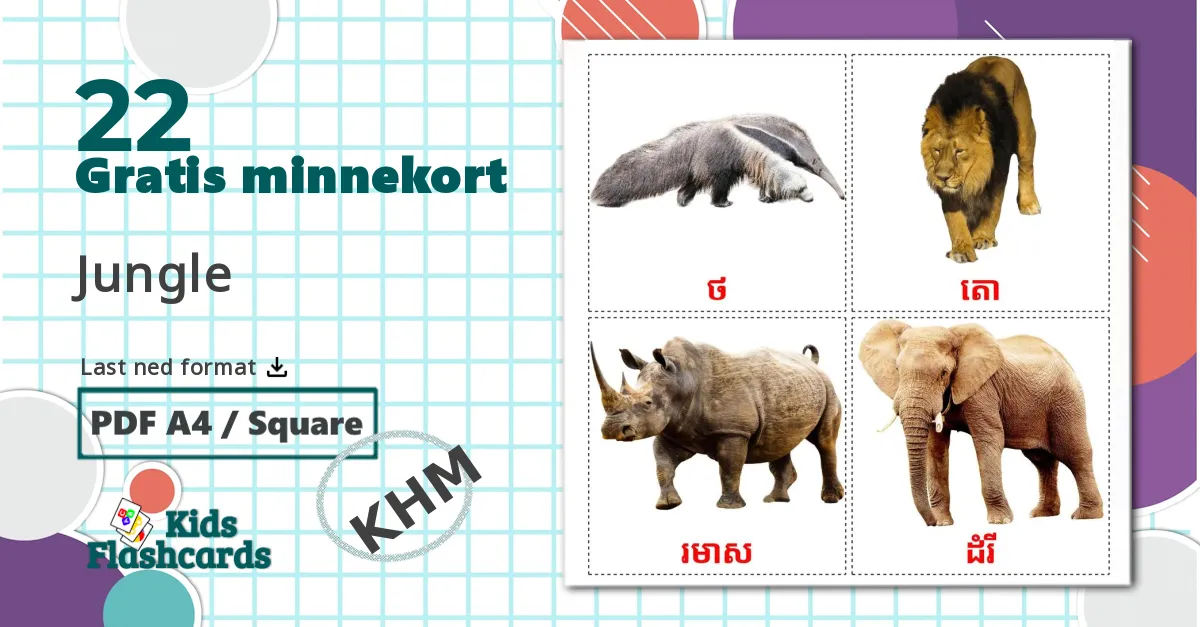 22 Jungle bildekort
