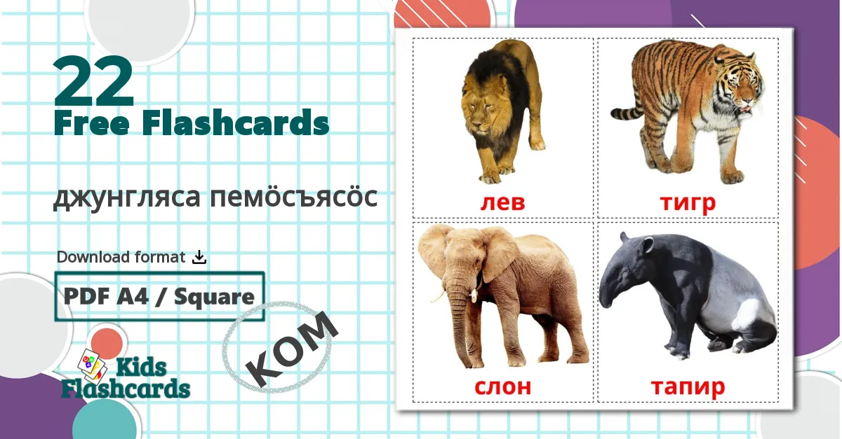 22 Jungle animals flashcards