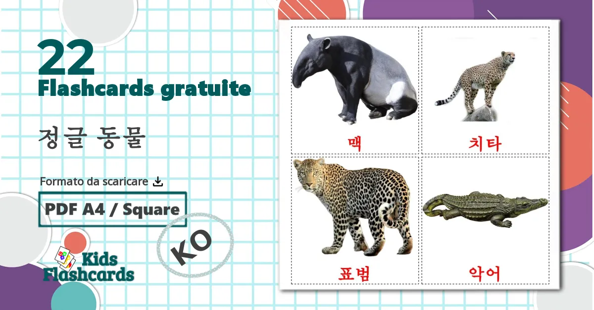 22 flashcards di Animali della giungla