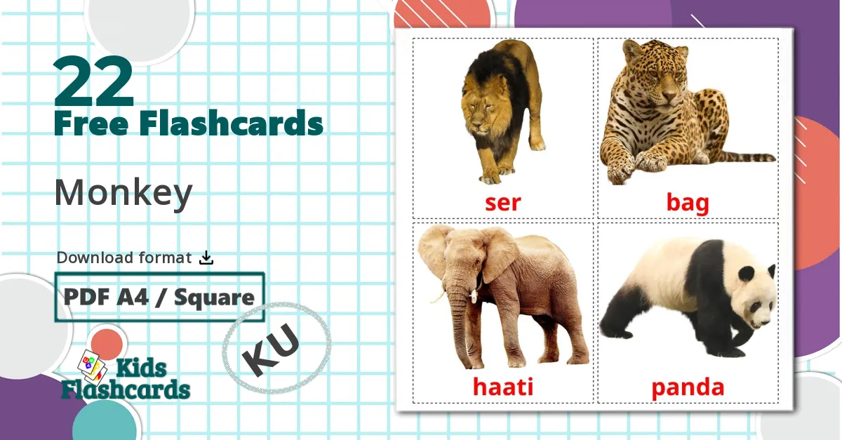22 Jungle animals flashcards