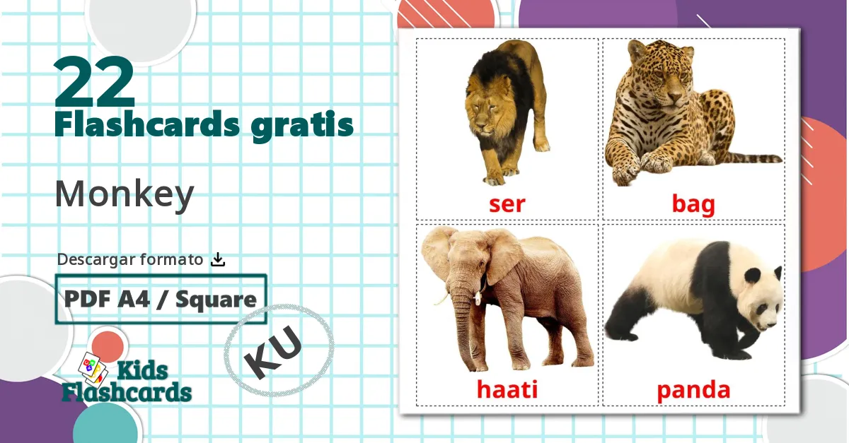 22 tarjetas didacticas de Animales de la Selva