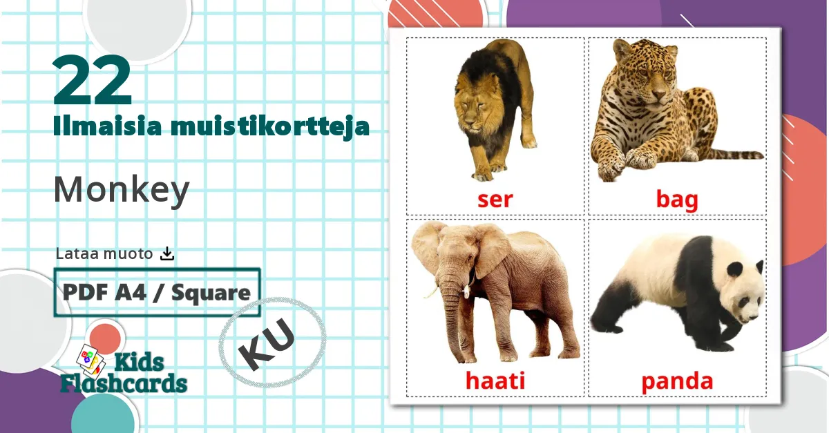 22 Viidakon eläimet lasten kuvakortit