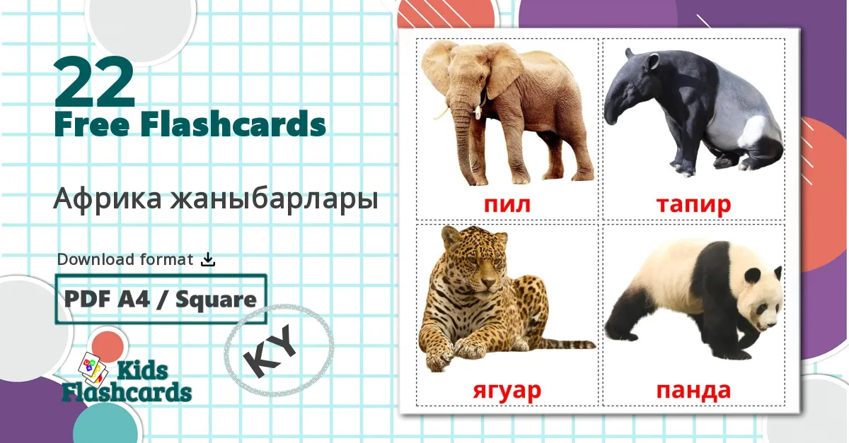 22 Forest animals flashcards