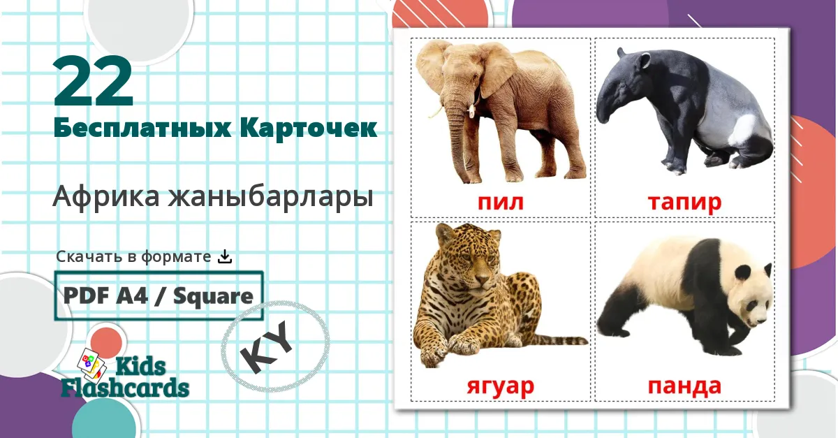 22 Карточки Домана Животные африки