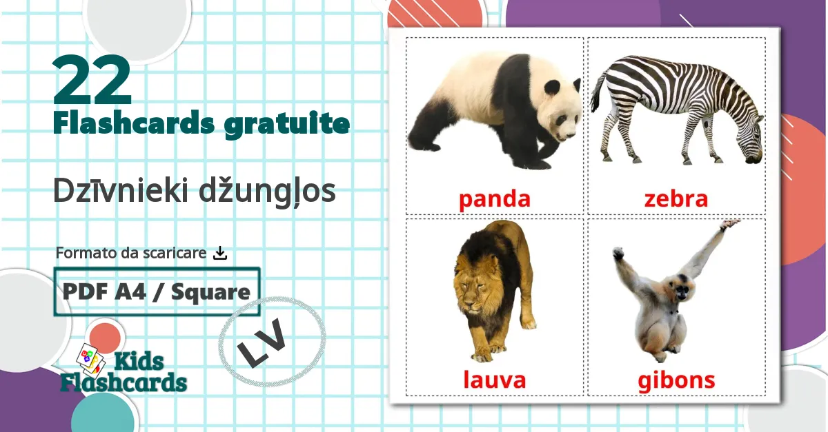 22 flashcards di Dzīvnieki džungļos