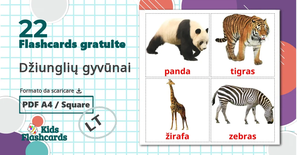 22 flashcards di Džiunglių gyvūnai