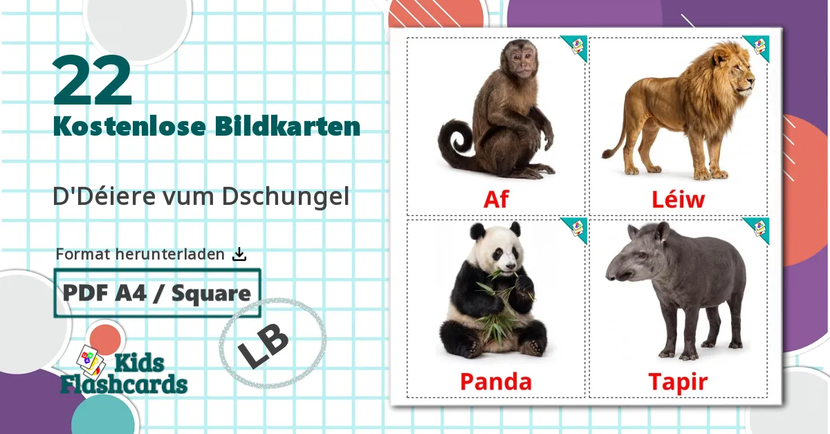 22 Bildkarten für Dschungel Tiere