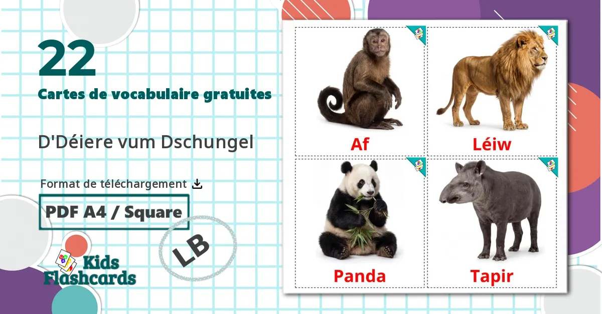 22 Imagiers Les Animaux de la Jungle