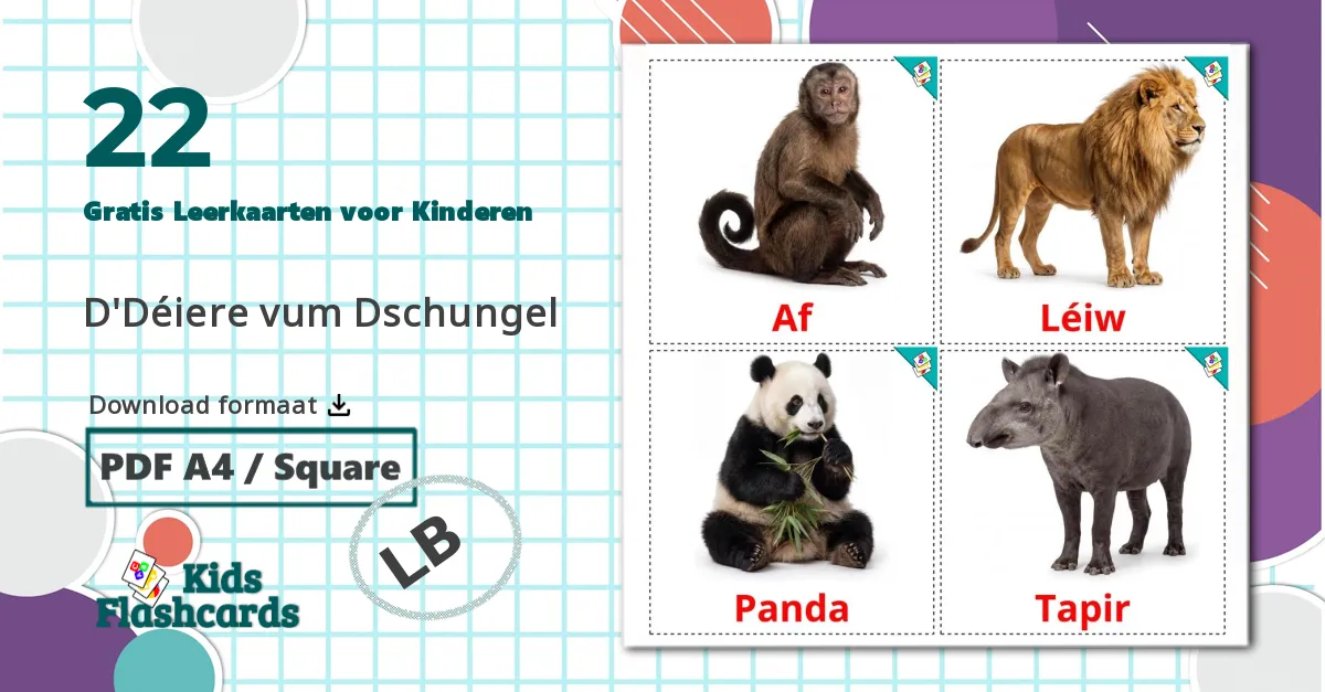 22 Jungle dieren Leerkaarten voor kinderen