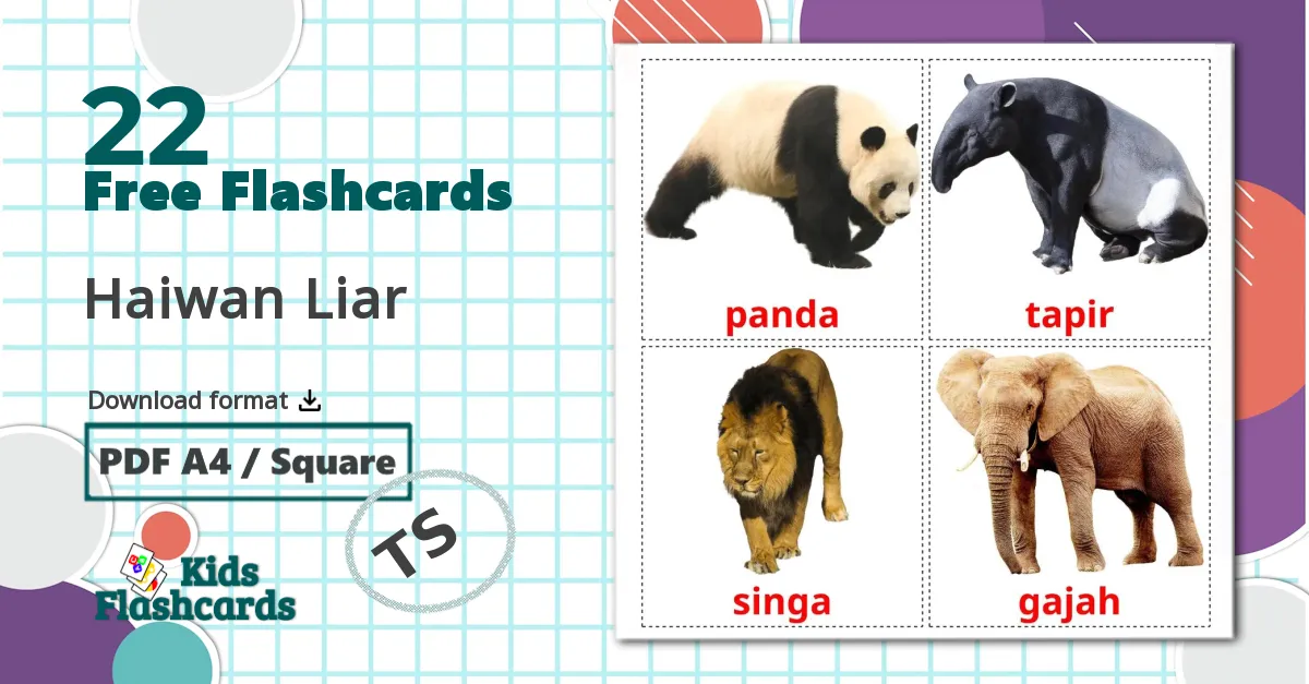 22 Haiwan Liar flashcards