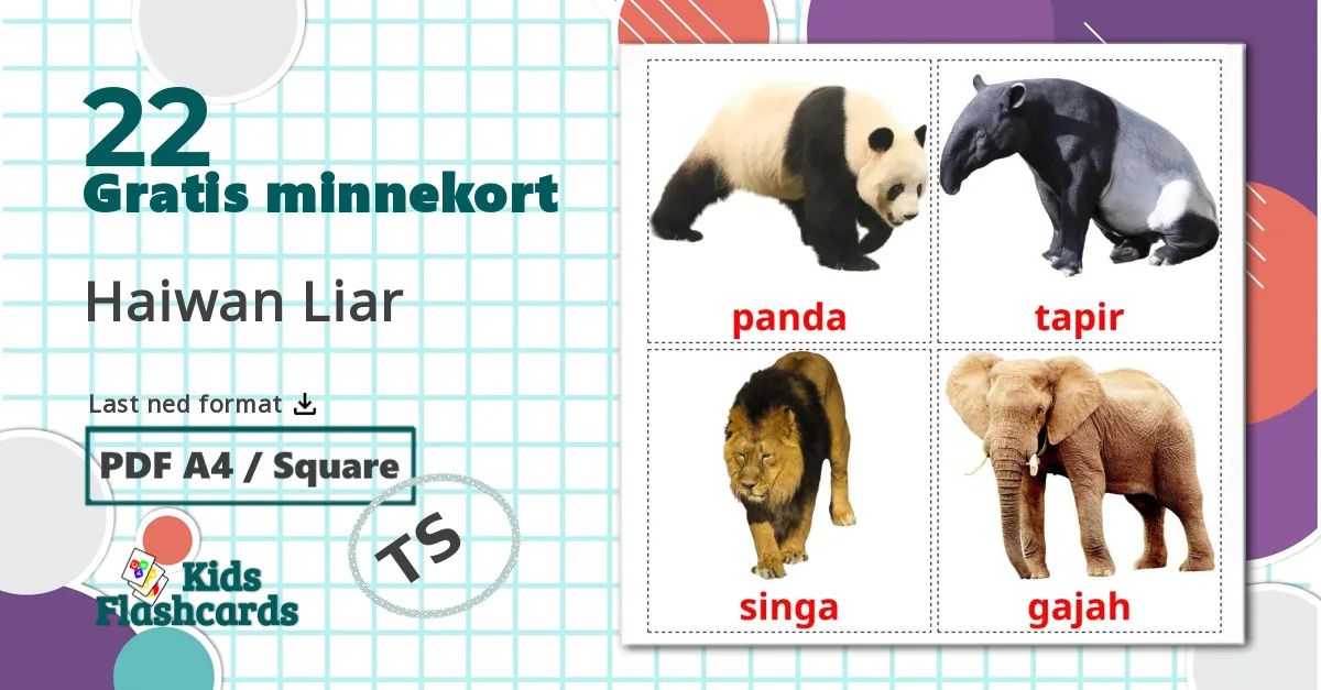 22 Haiwan Liar bildekort