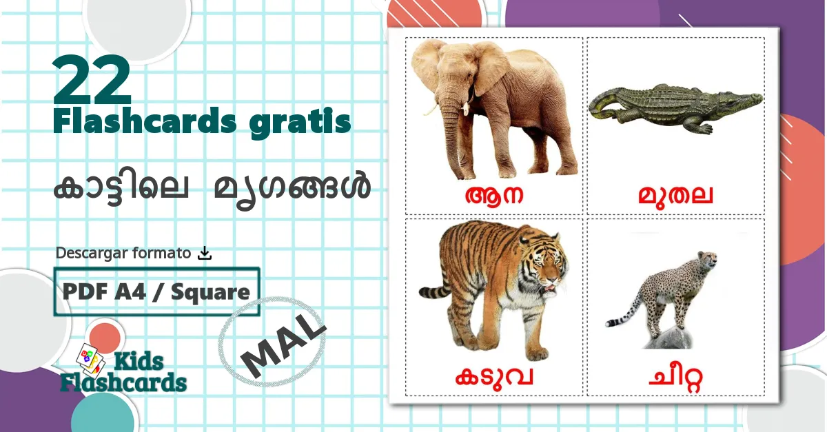 22 tarjetas didacticas de കാട്ടിലെ മൃഗങ്ങൾ