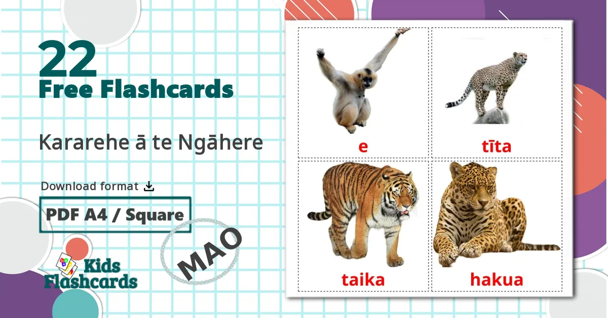 22 Jungle animals flashcards