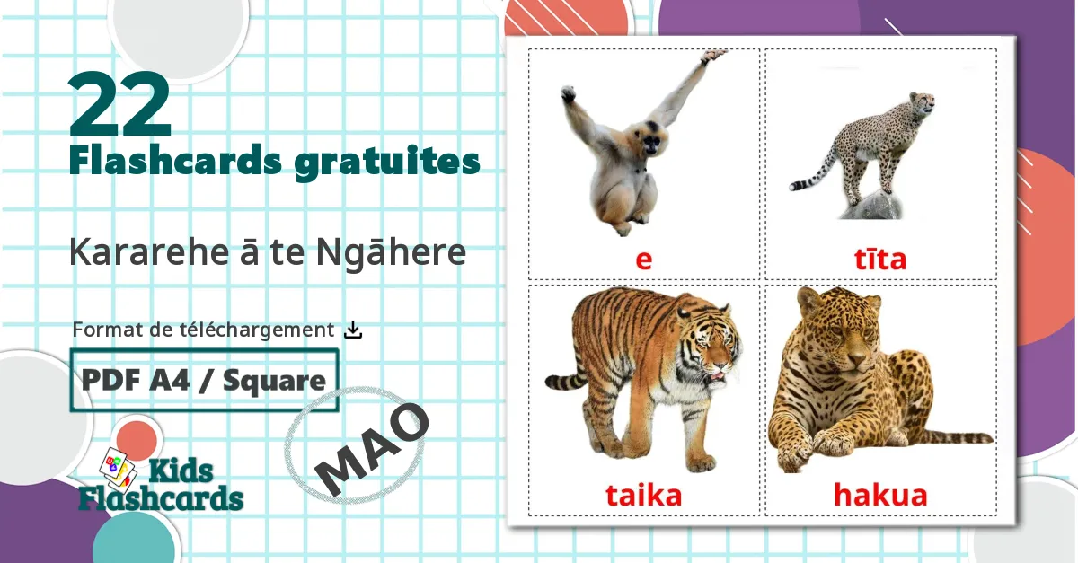 22 Imagiers Les Animaux de la Jungle