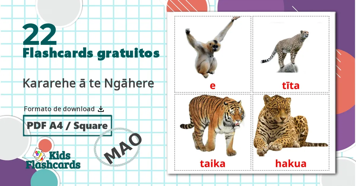 22 Animais da Selva flashcards