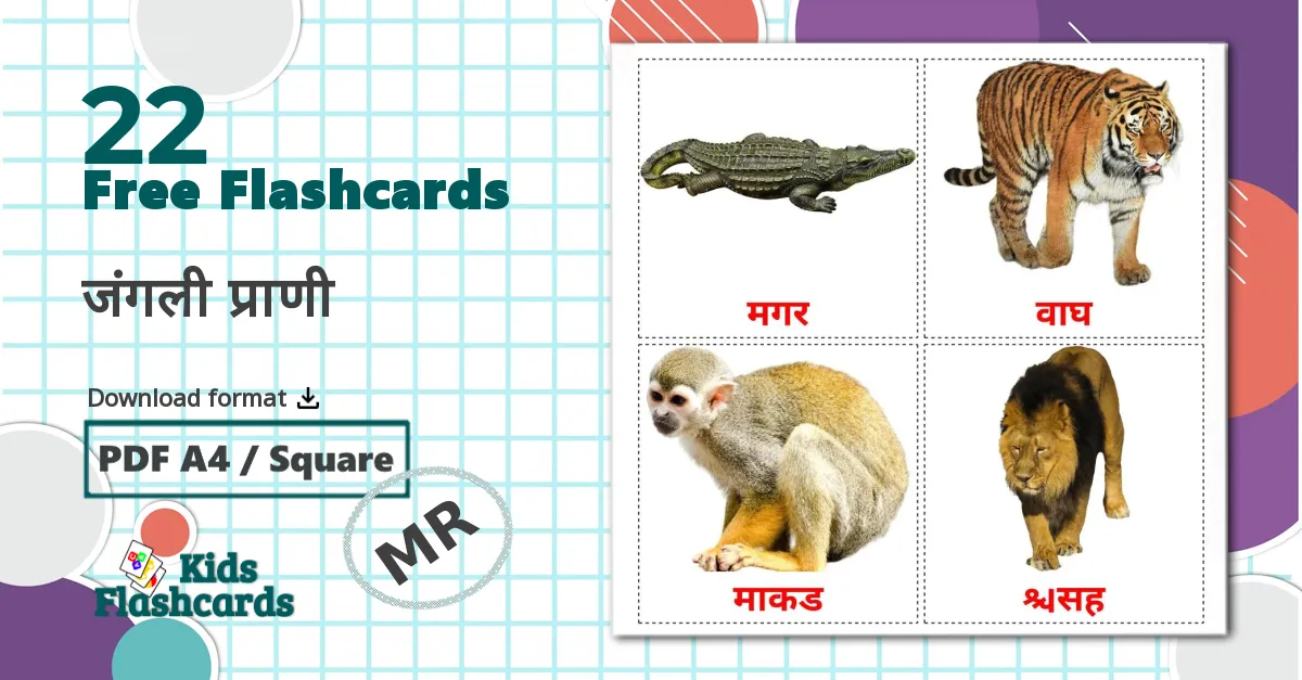 22 जंगली प्राणी  flashcards