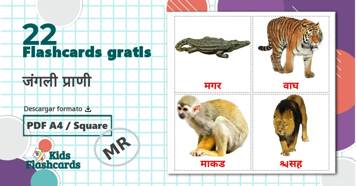 22 tarjetas didacticas de जंगली प्राणी